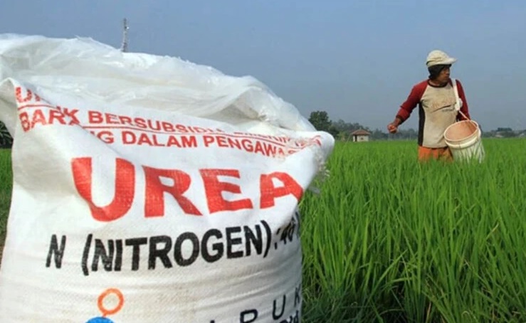 Pembenahan Tata Kelola Menjadi Kunci Keberlanjutan Industri Pupuk Nasional